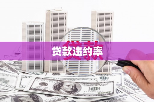 乐昌贷款违约率