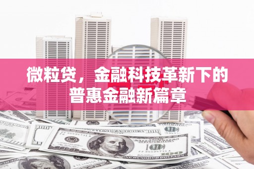 乐昌微粒贷，金融科技革新下的普惠金融新篇章