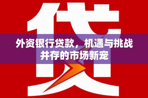 乐昌外资银行贷款，机遇与挑战并存的市场新宠