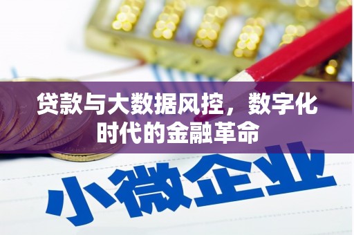 乐昌贷款与大数据风控，数字化时代的金融革命