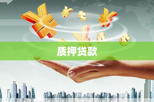 乐昌质押贷款