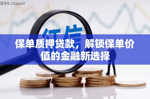 乐昌保单质押贷款，解锁保单价值的金融新选择