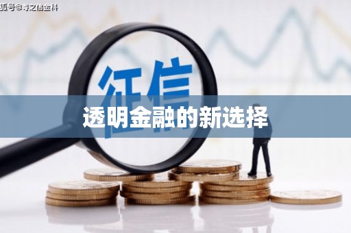 乐昌透明金融的新选择