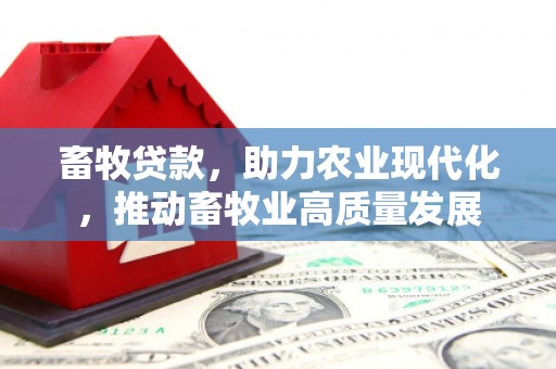 乐昌畜牧贷款，助力农业现代化，推动畜牧业高质量发展