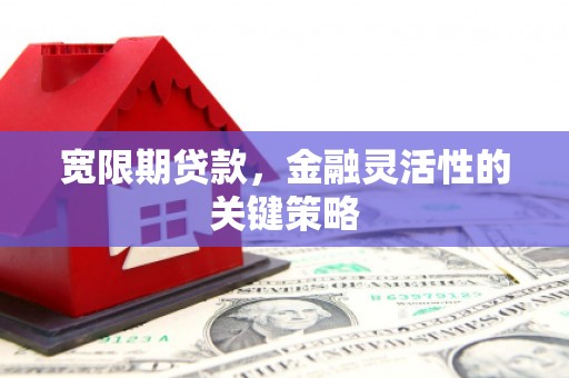 乐昌宽限期贷款，金融灵活性的关键策略