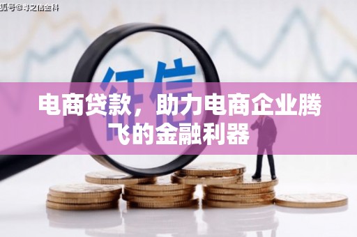 乐昌电商贷款，助力电商企业腾飞的金融利器