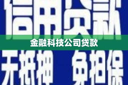 乐昌金融科技公司贷款