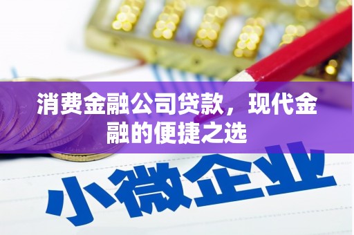 乐昌消费金融公司贷款，现代金融的便捷之选