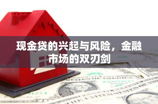 乐昌现金贷的兴起与风险，金融市场的双刃剑