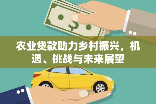 乐昌农业贷款助力乡村振兴，机遇、挑战与未来展望