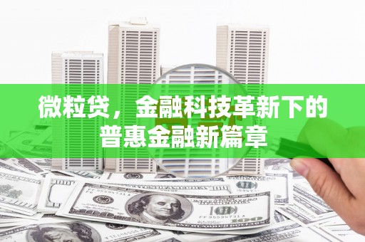乐昌微粒贷，金融科技革新下的普惠金融新篇章