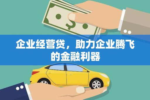 乐昌企业经营贷，助力企业腾飞的金融利器