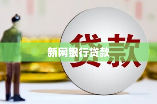 乐昌新网银行贷款