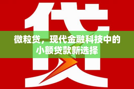 乐昌微粒贷，现代金融科技中的小额贷款新选择