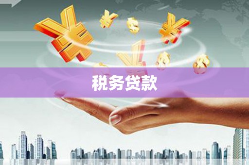 乐昌税务贷款