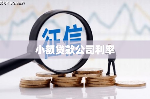 乐昌小额贷款公司利率