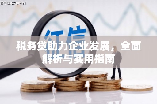 乐昌税务贷助力企业发展，全面解析与实用指南