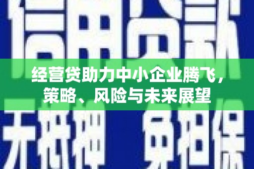 乐昌经营贷助力中小企业腾飞，策略、风险与未来展望