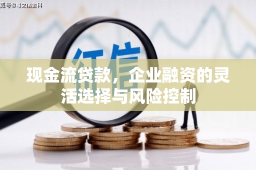 乐昌现金流贷款，企业融资的灵活选择与风险控制