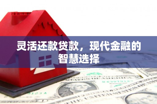 乐昌灵活还款贷款，现代金融的智慧选择