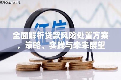 乐昌全面解析贷款风险处置方案，策略、实践与未来展望