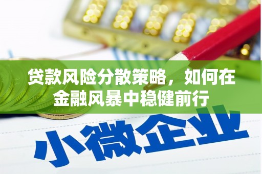 乐昌贷款风险分散策略，如何在金融风暴中稳健前行
