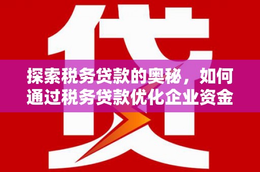 乐昌探索税务贷款的奥秘，如何通过税务贷款优化企业资金流