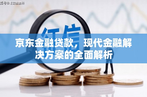 乐昌京东金融贷款，现代金融解决方案的全面解析