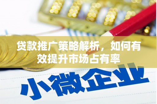 乐昌贷款推广策略解析，如何有效提升市场占有率
