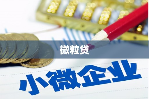 乐昌微粒贷