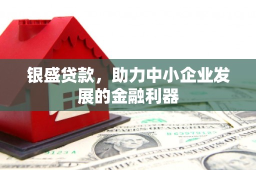 乐昌银盛贷款，助力中小企业发展的金融利器