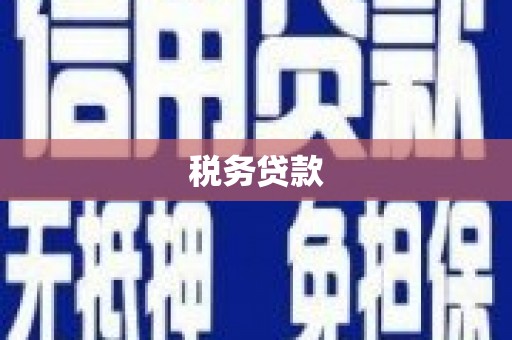 乐昌税务贷款