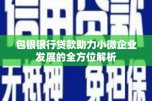乐昌包银银行贷款助力小微企业发展的全方位解析