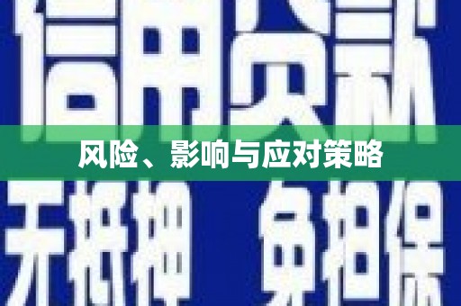 乐昌风险、影响与应对策略