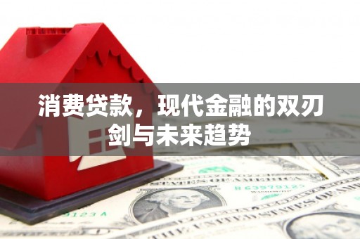 乐昌消费贷款，现代金融的双刃剑与未来趋势