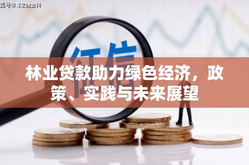 乐昌林业贷款助力绿色经济，政策、实践与未来展望