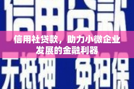 乐昌信用社贷款，助力小微企业发展的金融利器