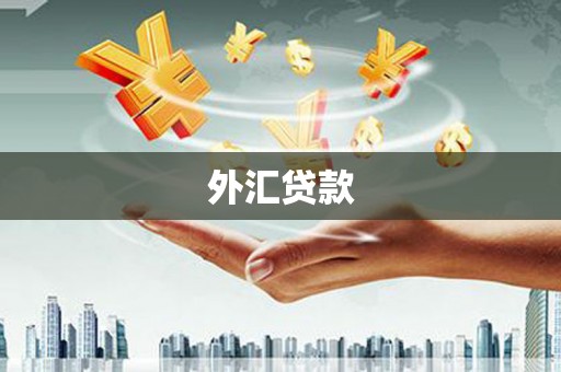 乐昌外汇贷款
