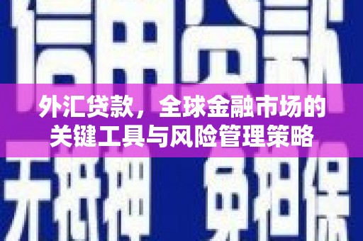 乐昌外汇贷款，全球金融市场的关键工具与风险管理策略