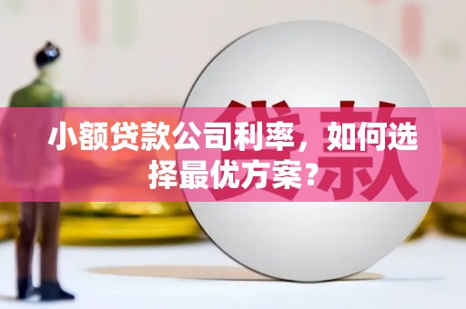 乐昌小额贷款公司利率，如何选择最优方案？