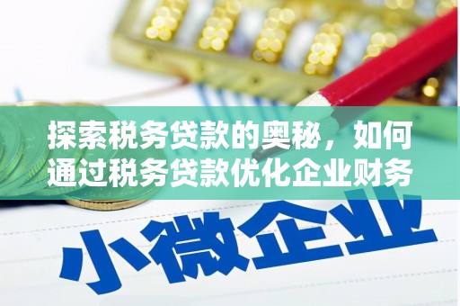 乐昌探索税务贷款的奥秘，如何通过税务贷款优化企业财务