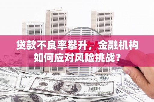 乐昌贷款不良率攀升，金融机构如何应对风险挑战？