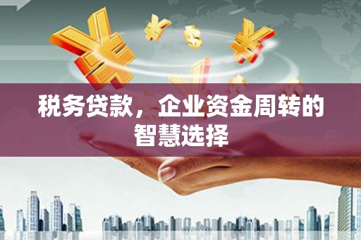 乐昌税务贷款，企业资金周转的智慧选择