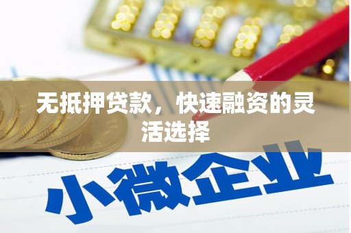 乐昌无抵押贷款，快速融资的灵活选择