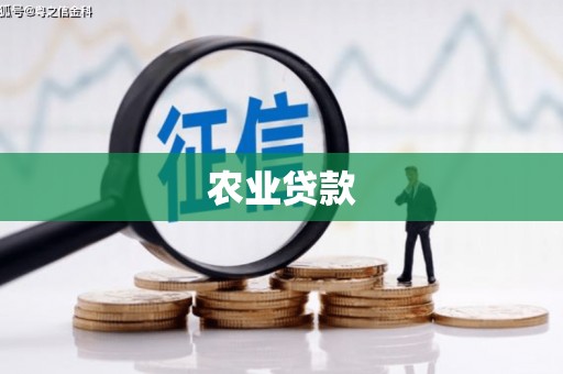 乐昌农业贷款
