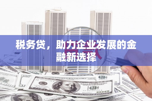 乐昌税务贷，助力企业发展的金融新选择