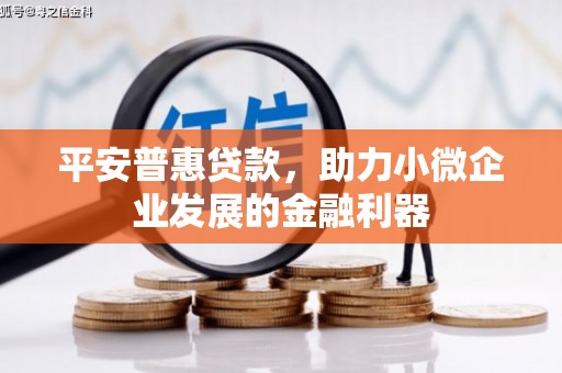 乐昌平安普惠贷款，助力小微企业发展的金融利器