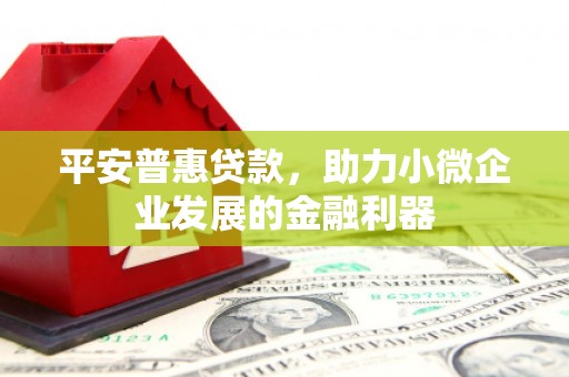乐昌平安普惠贷款，助力小微企业发展的金融利器