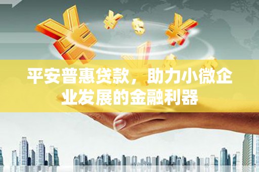 乐昌平安普惠贷款，助力小微企业发展的金融利器