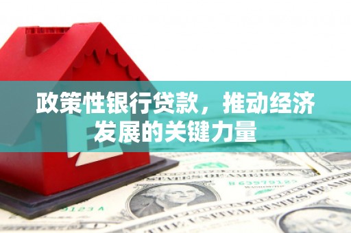 乐昌政策性银行贷款，推动经济发展的关键力量